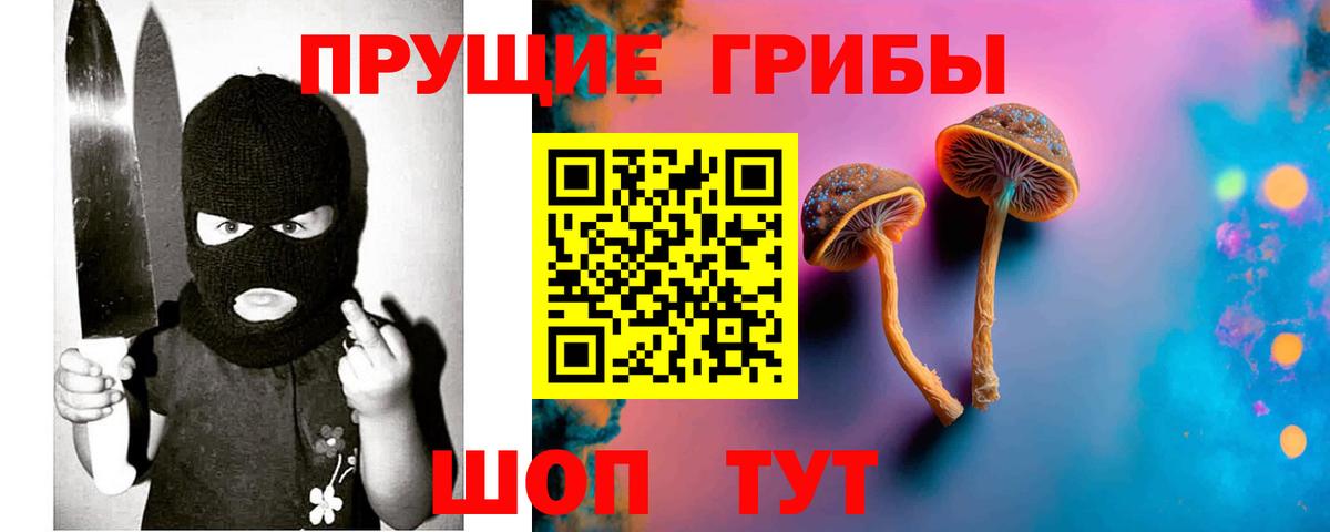 Галлюциногенные грибы Cubensis Сосновый Бор